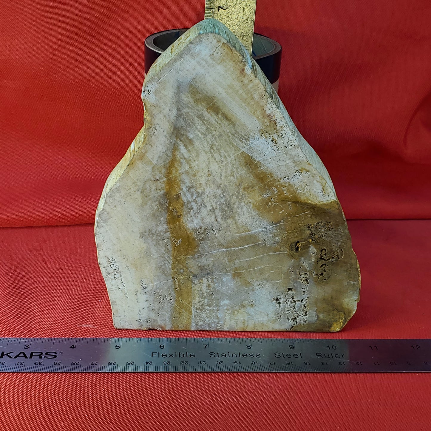 Petrified wood slab cut to stand