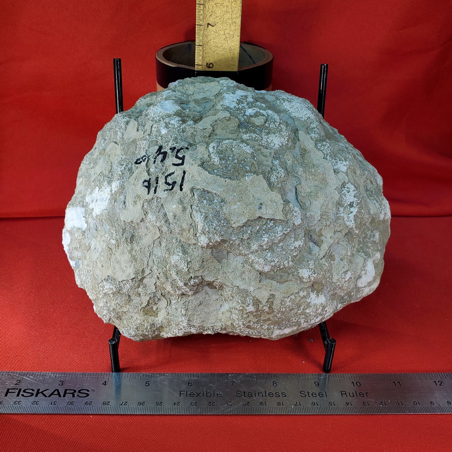 Geode half with Goethite