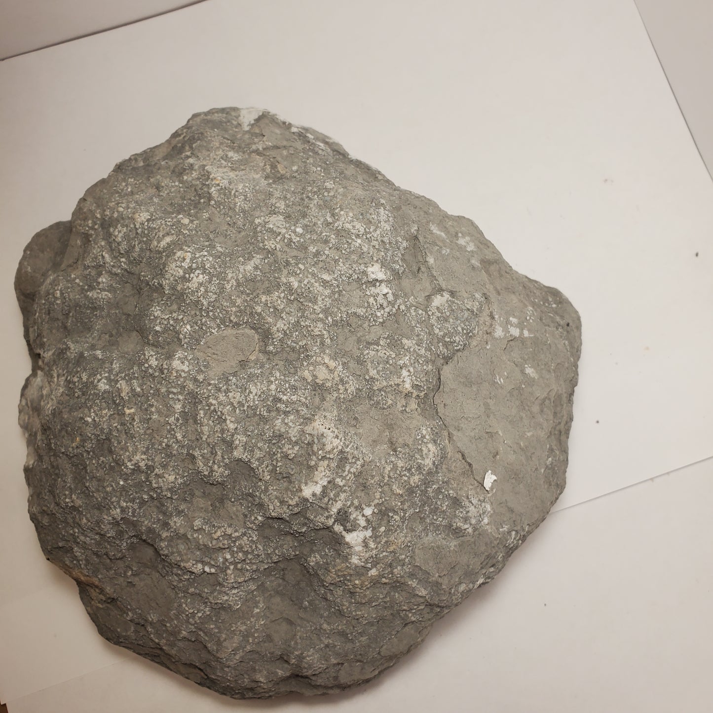 FABULOUS KEOKUK GEODE HALF