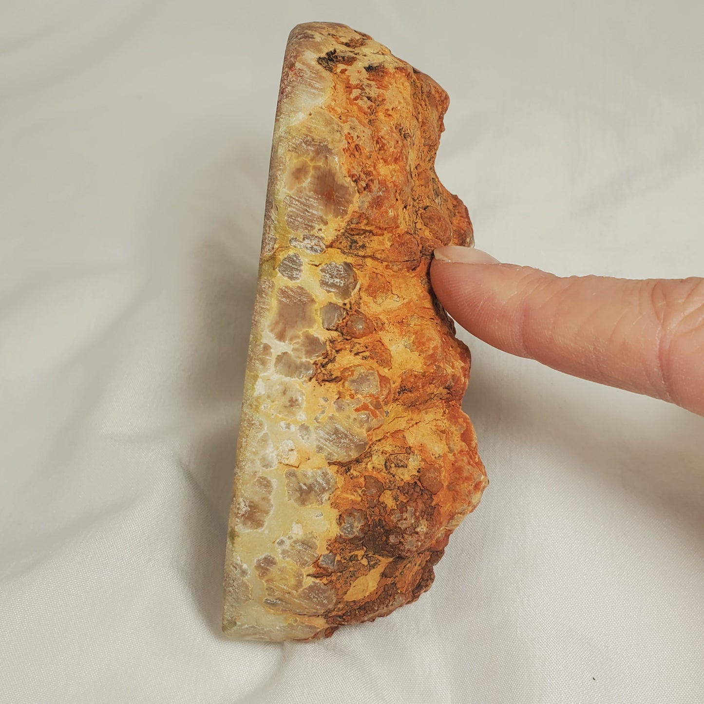 POLISHED PETRIFIED DINOSAUR POOP