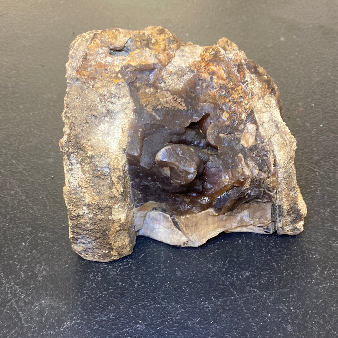 BLUE FOREST PETRIFIED WOOD