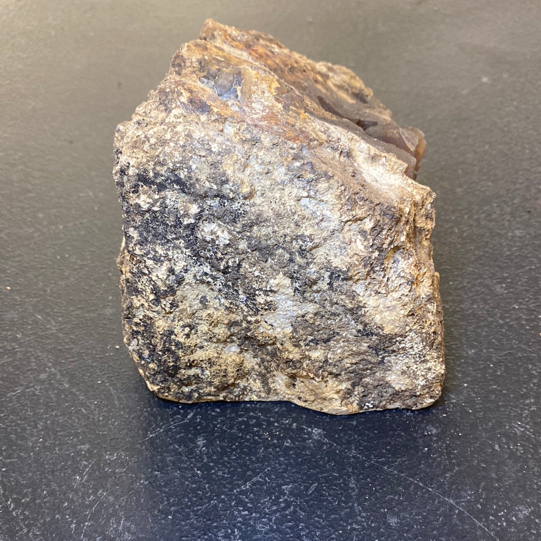 BLUE FOREST PETRIFIED WOOD
