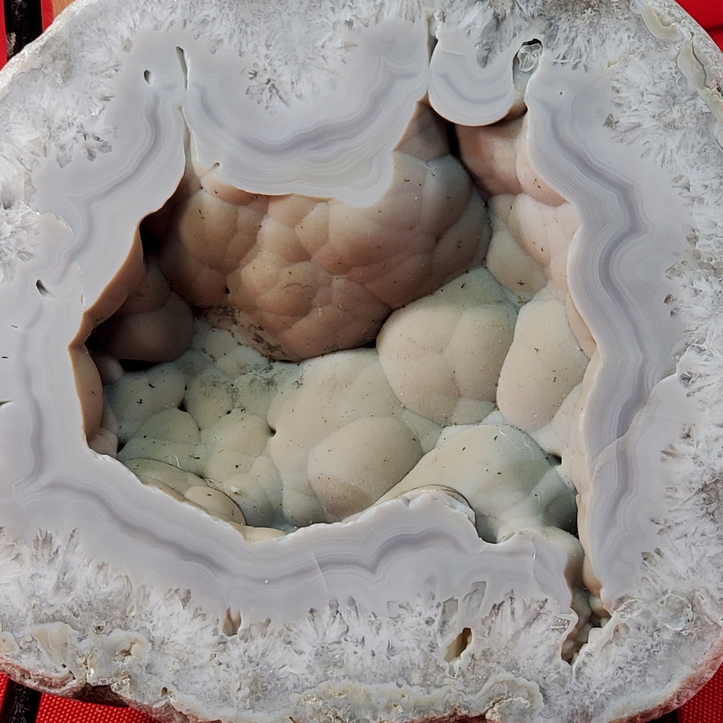 Polished chalcedony geode half