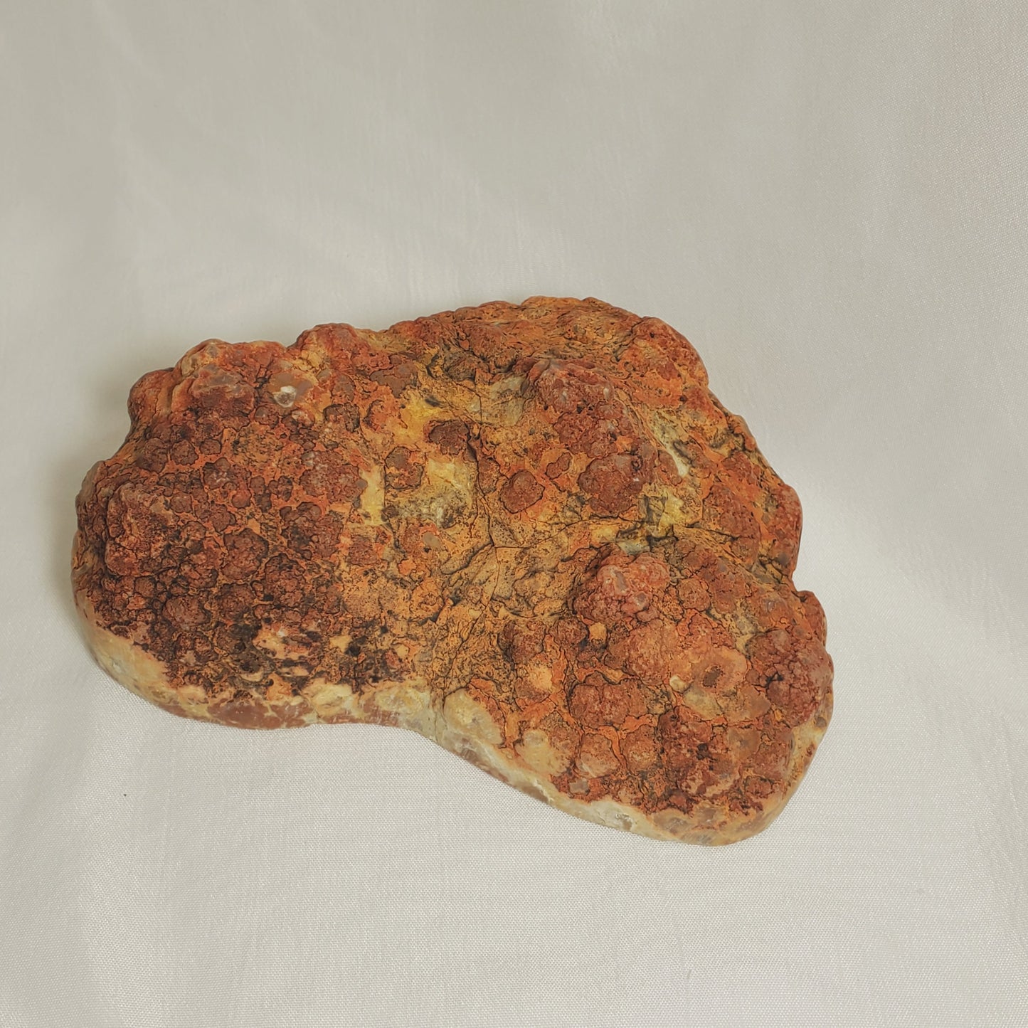 POLISHED PETRIFIED DINOSAUR POOP